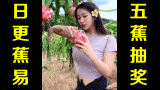 ★五蕉抽奖★网络上常见的热门短视频集锦 第七十九期(本期抽奖)